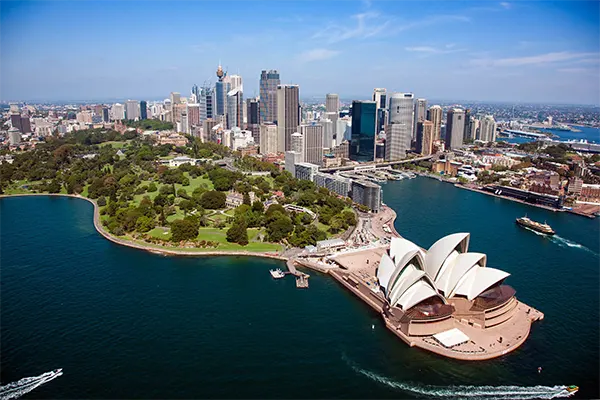 Canguro en Australia