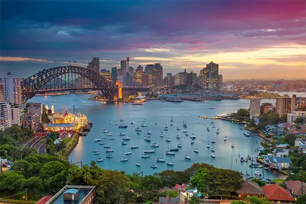 Canguro en Australia